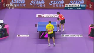 LGD直播在线观看